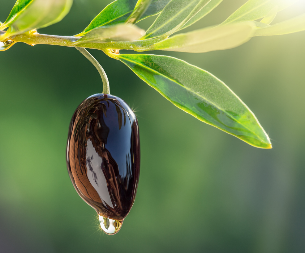 Ekologiškos prekės